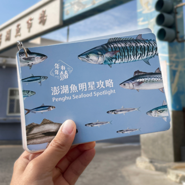 澎湖魚明星攻略